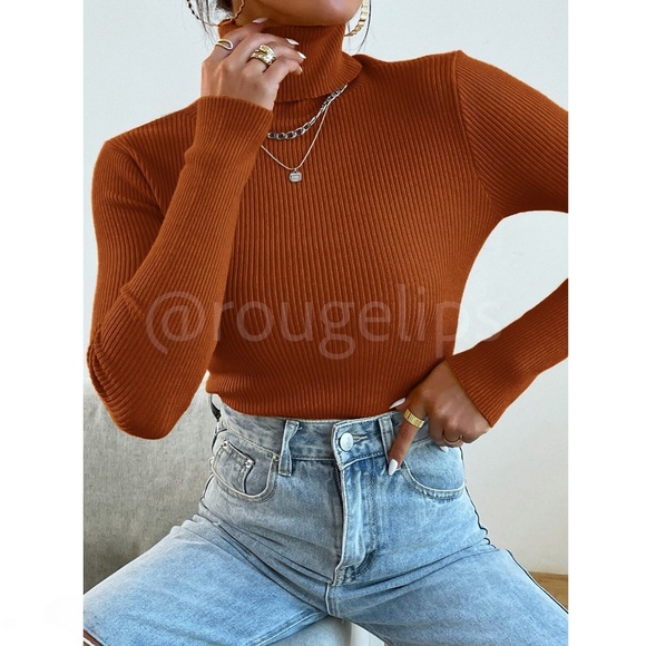 Burnt Orange Rib-Knit High Neck, Turtleneck Long Sleeve Slim Fit Sweater Top - Picture 5 of 9